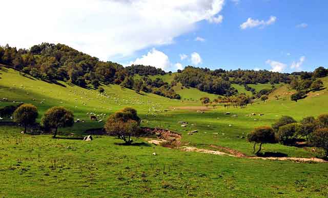 宝鸡市·陇县·关山牧场户外拓展基地
